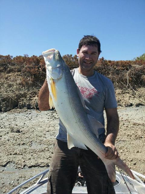1120mm Threadfin Salmon